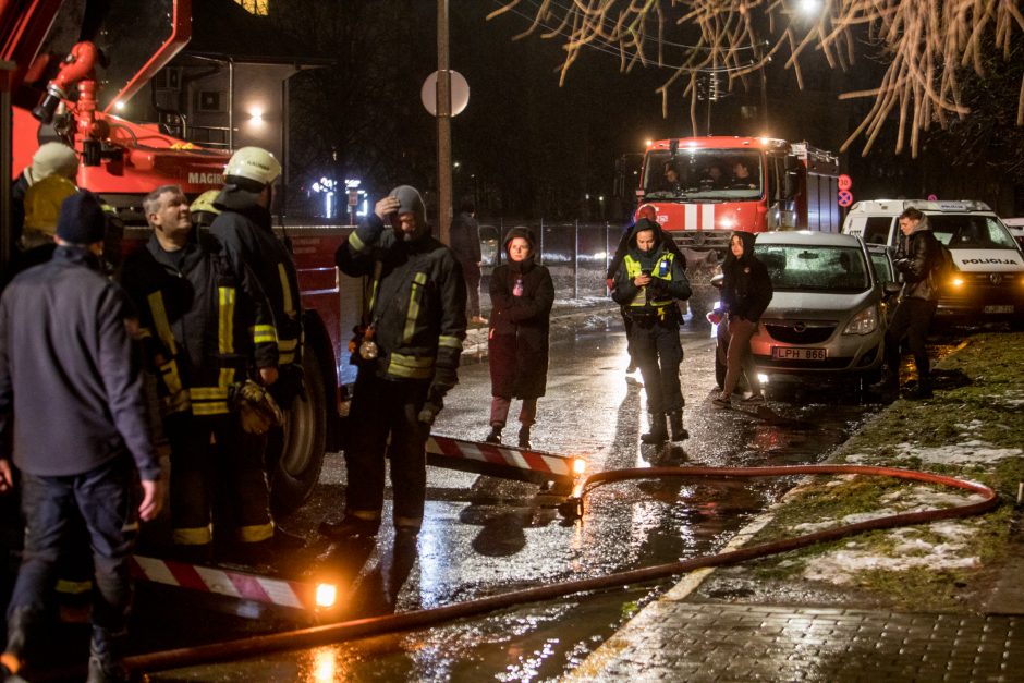 Nelaimė viena nevaikšto: ko po lemtingos senolės klaidos nesunaikino ugnis, ištąsė asocialūs asmenys