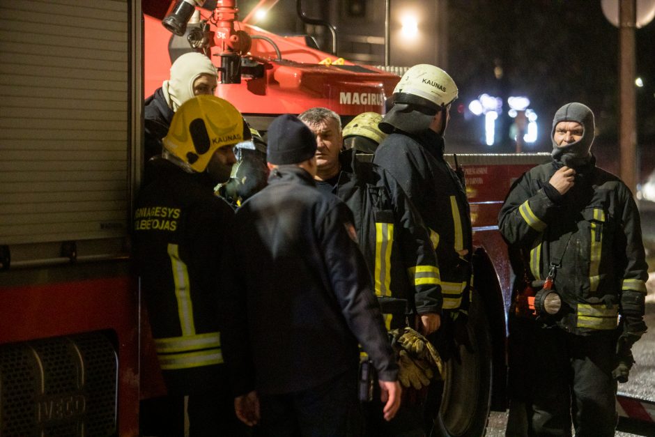 Nelaimė viena nevaikšto: ko po lemtingos senolės klaidos nesunaikino ugnis, ištąsė asocialūs asmenys