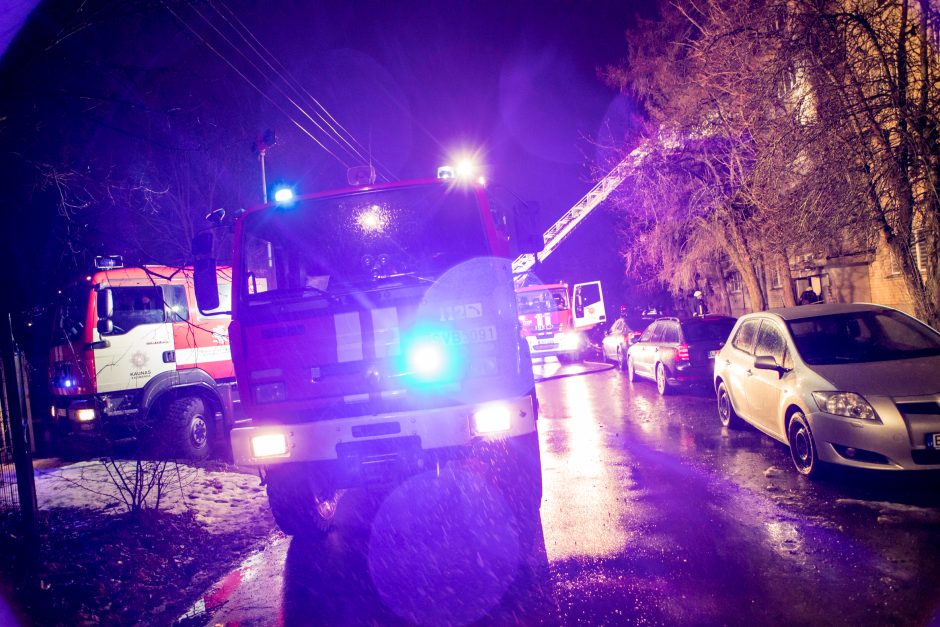 Nelaimė viena nevaikšto: ko po lemtingos senolės klaidos nesunaikino ugnis, ištąsė asocialūs asmenys