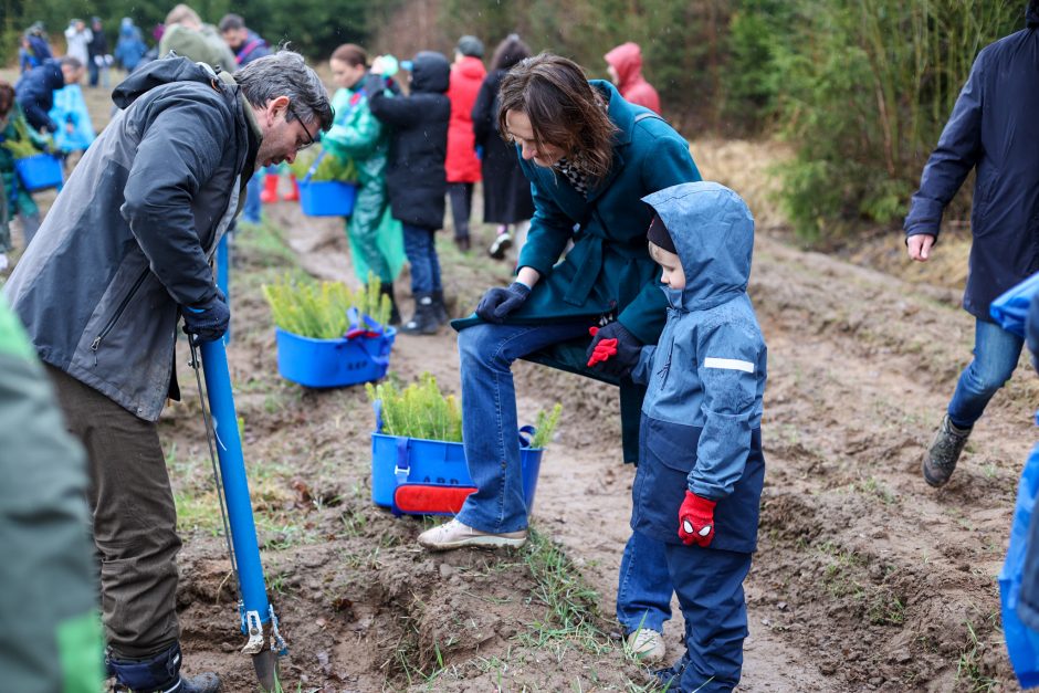 Nacionalinis miškasodis sutelkė gamtos mylėtojus: Lietuvos miškuose pasodinta 2 mln. naujų medžių