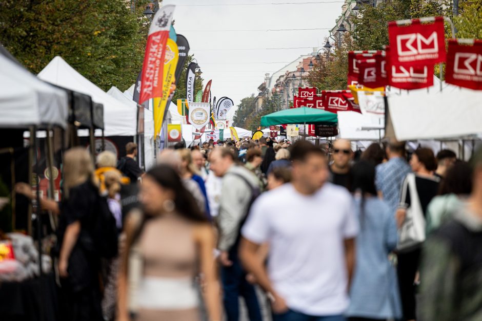 Tautų mugė Gedimino prospekte