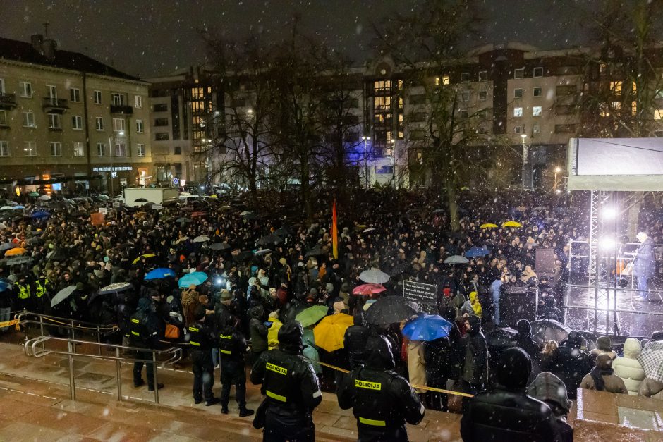 G. Paluckas neatsakė į protestuotojų kvietimą ateiti į mitingą: nepritariu pačiai idėjai