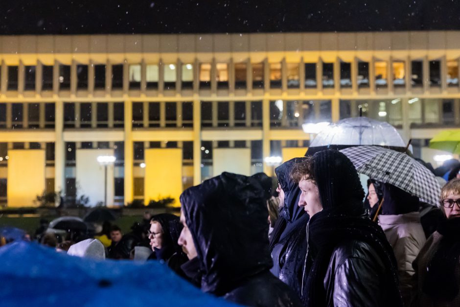 G. Paluckas neatsakė į protestuotojų kvietimą ateiti į mitingą: nepritariu pačiai idėjai