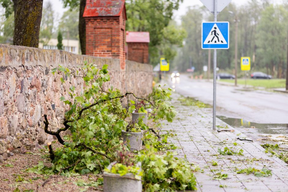 Mokslininkai ragina ruoštis: ateityje laukia daug baisesnės audros