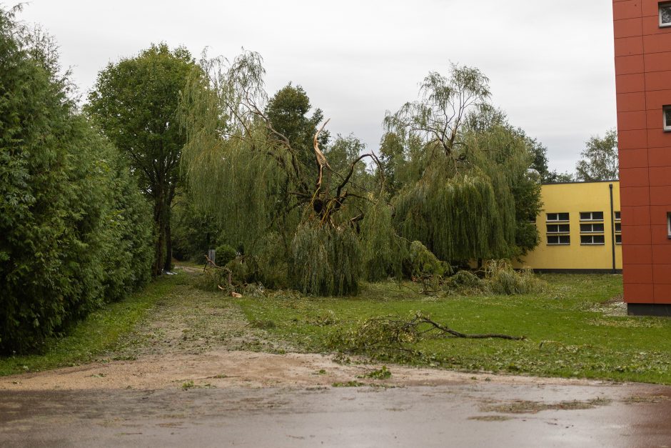 Mokslininkai ragina ruoštis: ateityje laukia daug baisesnės audros