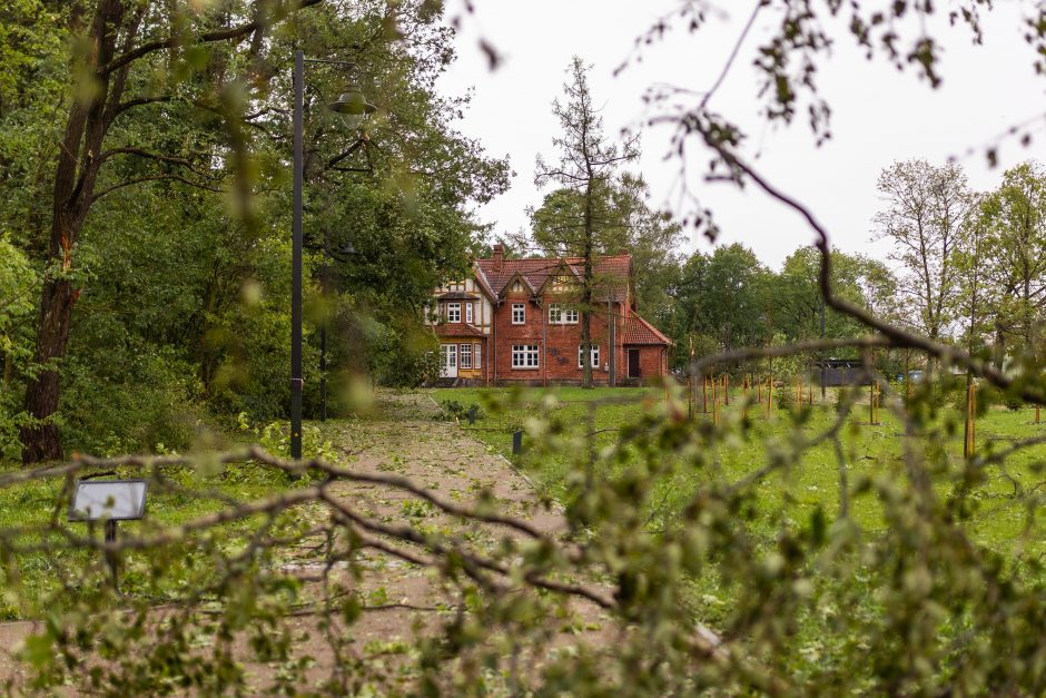 Mokslininkai ragina ruoštis: ateityje laukia daug baisesnės audros