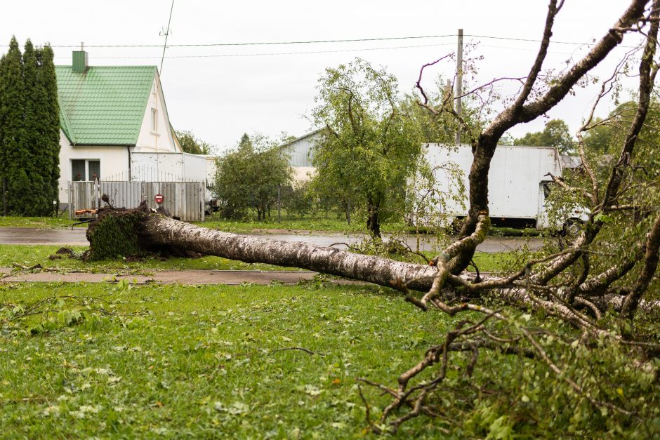 Mokslininkai ragina ruoštis: ateityje laukia daug baisesnės audros