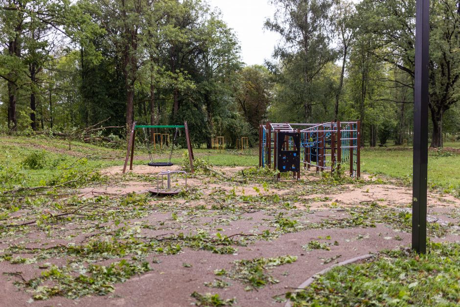 Mokslininkai ragina ruoštis: ateityje laukia daug baisesnės audros