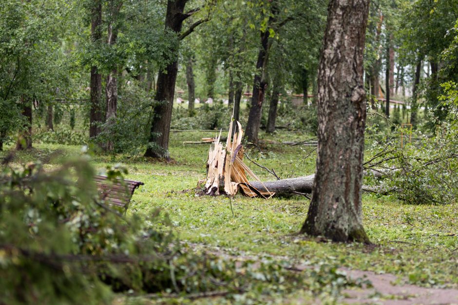 Mokslininkai ragina ruoštis: ateityje laukia daug baisesnės audros