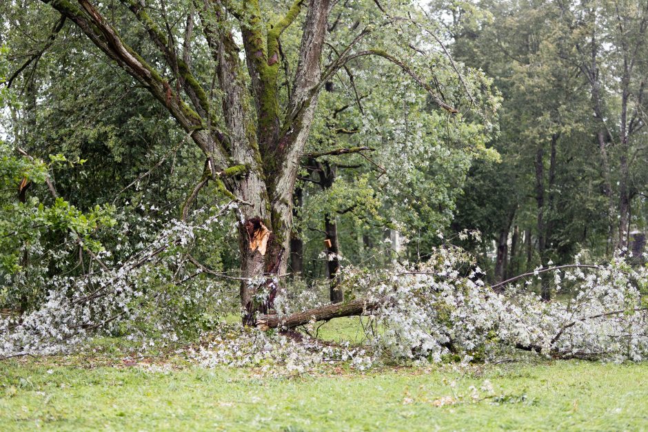 Mokslininkai ragina ruoštis: ateityje laukia daug baisesnės audros