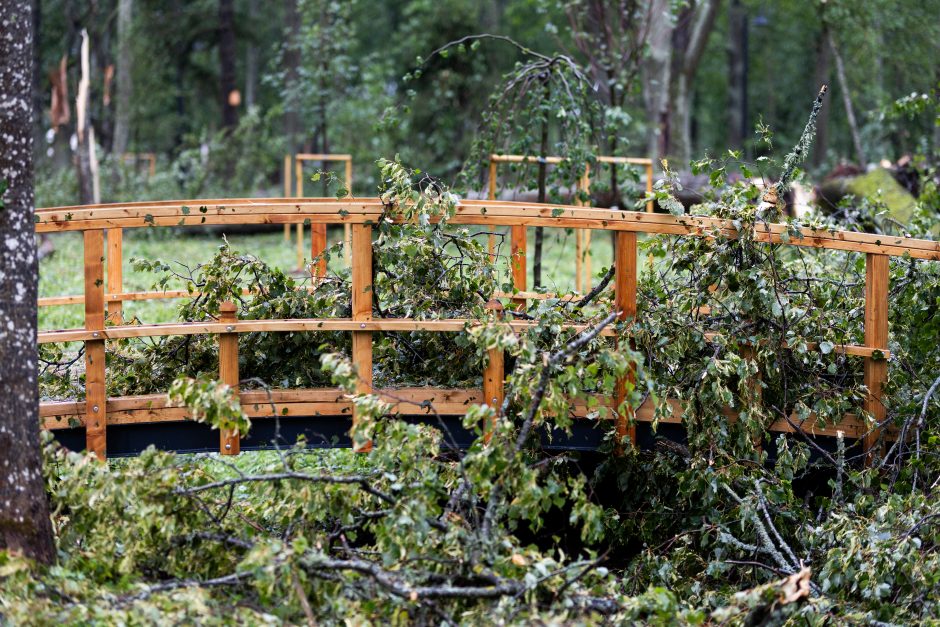 Mokslininkai ragina ruoštis: ateityje laukia daug baisesnės audros