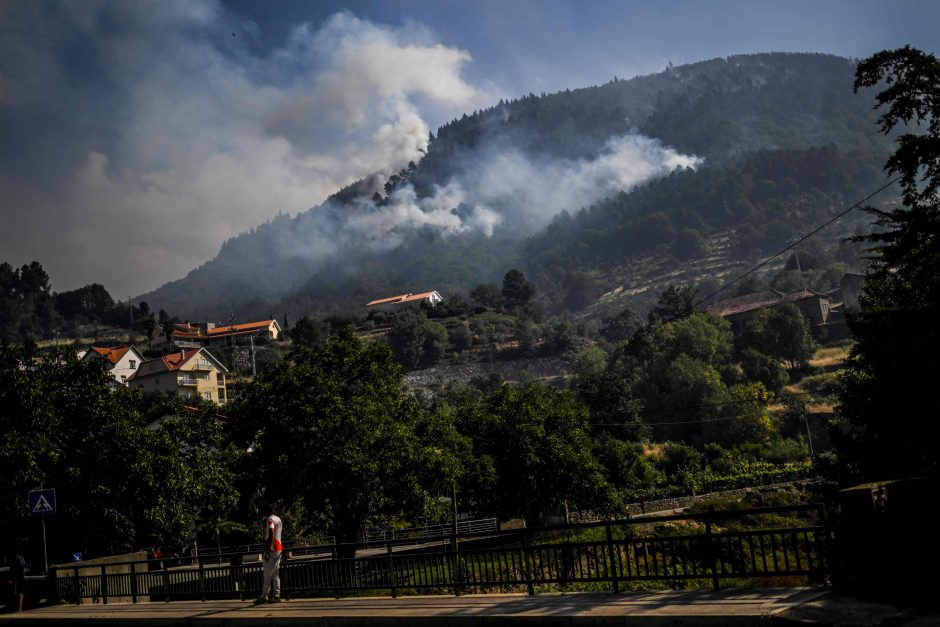 Gamtos parke Portugalijoje vėl atsinaujino miško gaisras