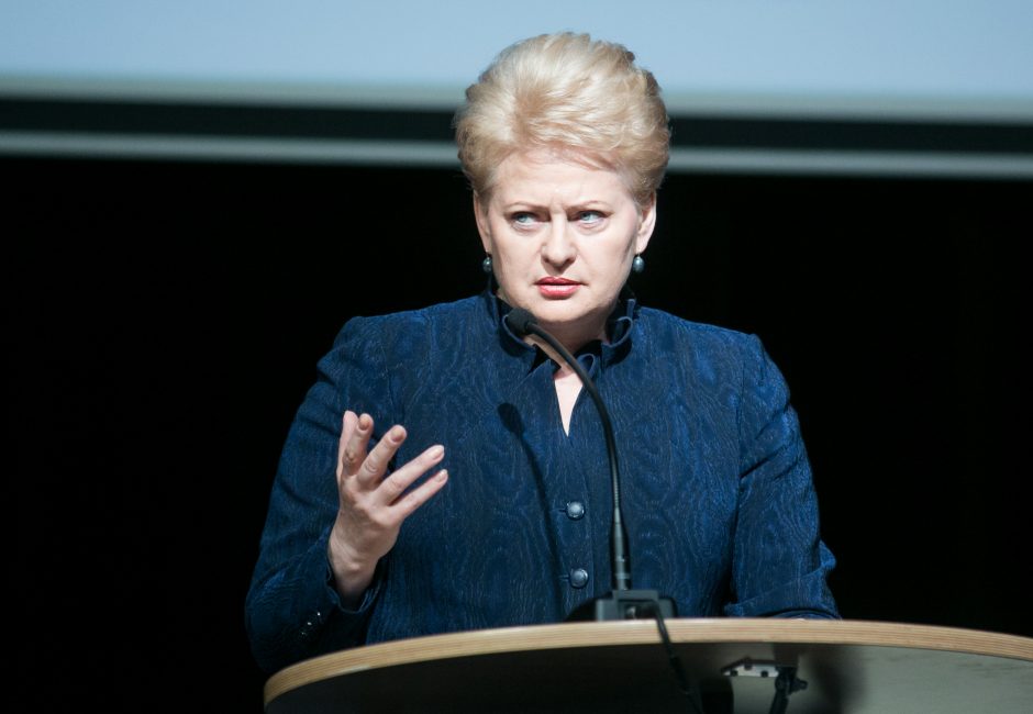 D. Grybauskaitės pokalbis su JAV viceprezidentu apie padėtį Ukrainoje atidėtas