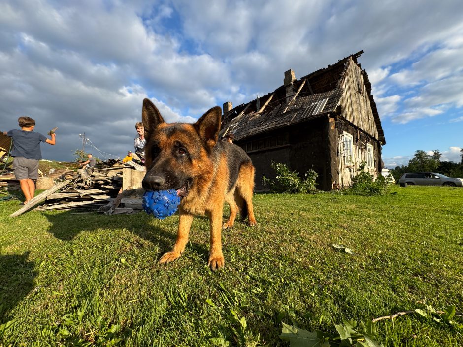 Viesulo padariniai Šiaulių rajone