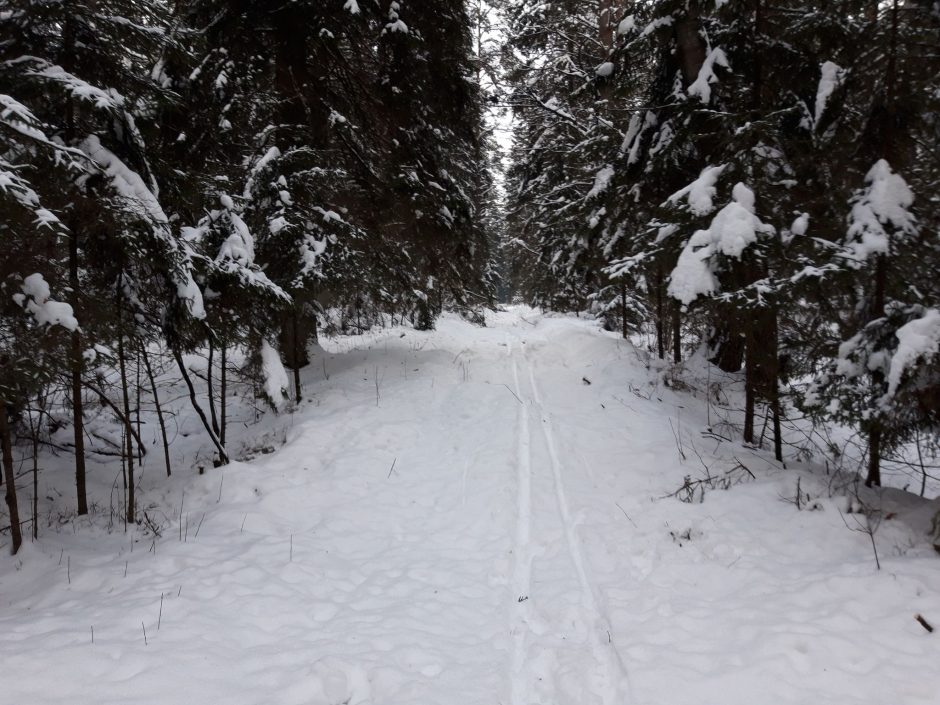 Ministerija: miškų savininkai sulauks pagalbos dėl „Natura 2000“ reikalavimų 