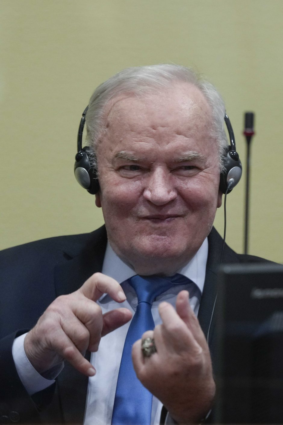 „Bosnijos skerdiko“ R. Mladičiaus nuosprendis liko nepakeistas