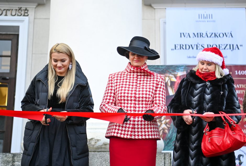 D. Nausėdienė atidarė tradicinę Tarptautinę Kalėdų labdaros mugę