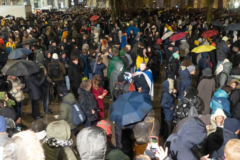 G. Paluckas neatsakė į protestuotojų kvietimą ateiti į mitingą: nepritariu pačiai idėjai