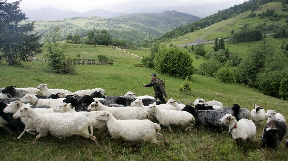 Užkarpatės regione investuoja ir Lietuvos verslininkai