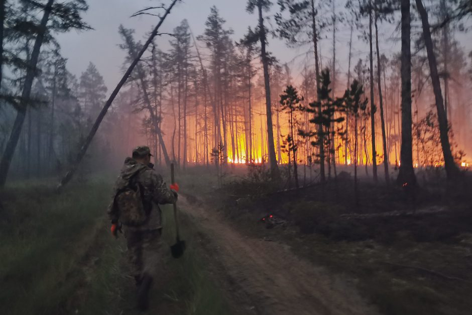 ES agentūra: miškų gaisrai šiauriniame pusrutulyje sukėlė rekordines emisijas