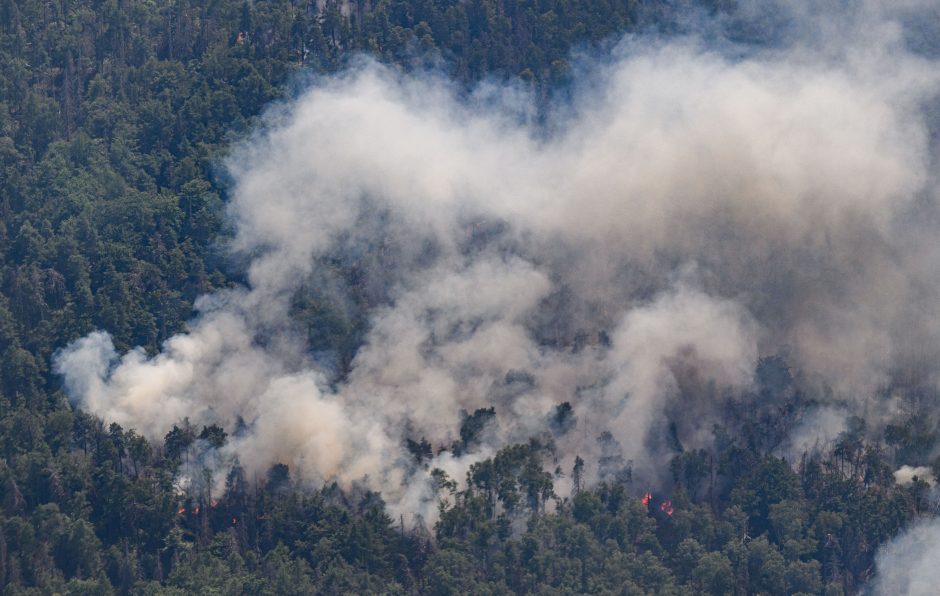Čekijoje ugniagesiai įveikė 20 dienų siautusį miško gaisrą