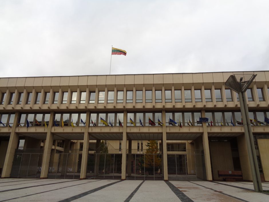 Seimas žada turėti nuolatinį atstovą Ukrainoje: idėją dėl Vokietijos palaikė, tačiau nutarė atidėti