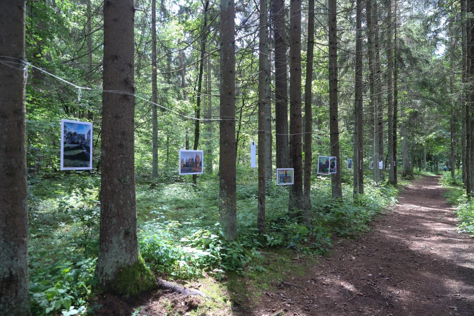 Panemunė surengė puotą miško gurmanams: buvo sužavėti net jos senbuviai