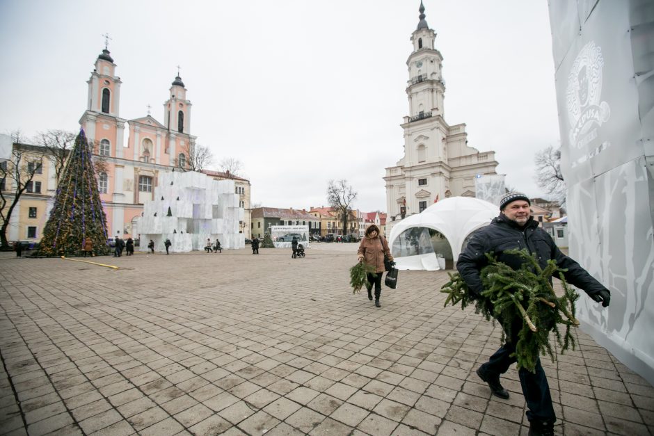 Į kauniečių namus iškeliavo tūkstančiai eglių šakų