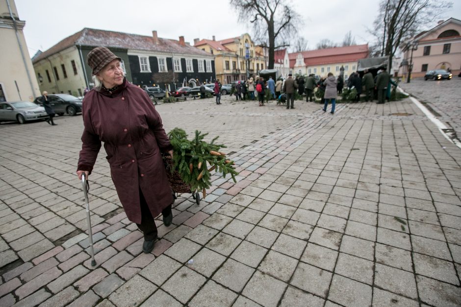 Į kauniečių namus iškeliavo tūkstančiai eglių šakų