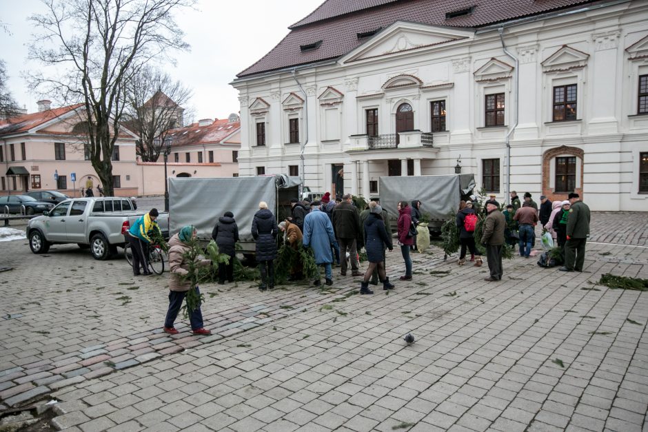 Į kauniečių namus iškeliavo tūkstančiai eglių šakų