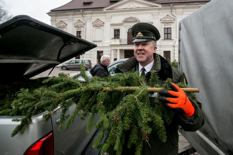 Į kauniečių namus iškeliavo tūkstančiai eglių šakų