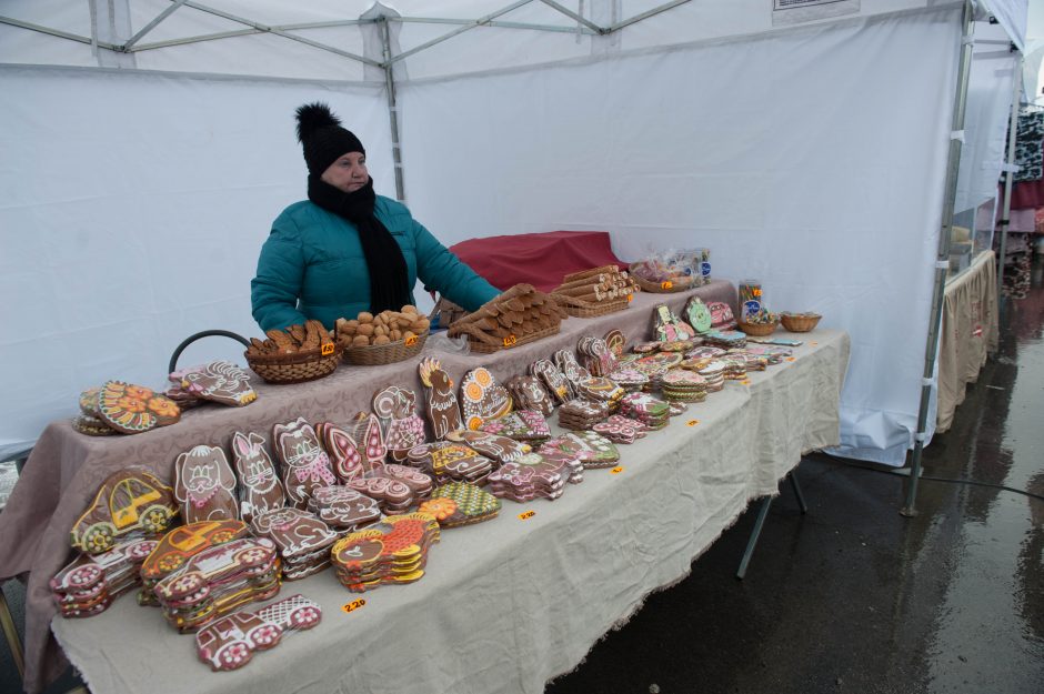 Kaip į Kauną atkeliavo Kazimieras?