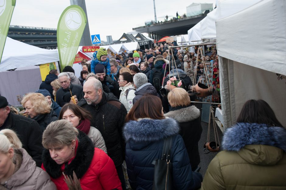 Kaip į Kauną atkeliavo Kazimieras?