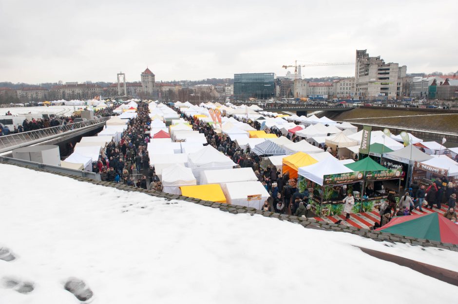 Kaip į Kauną atkeliavo Kazimieras?