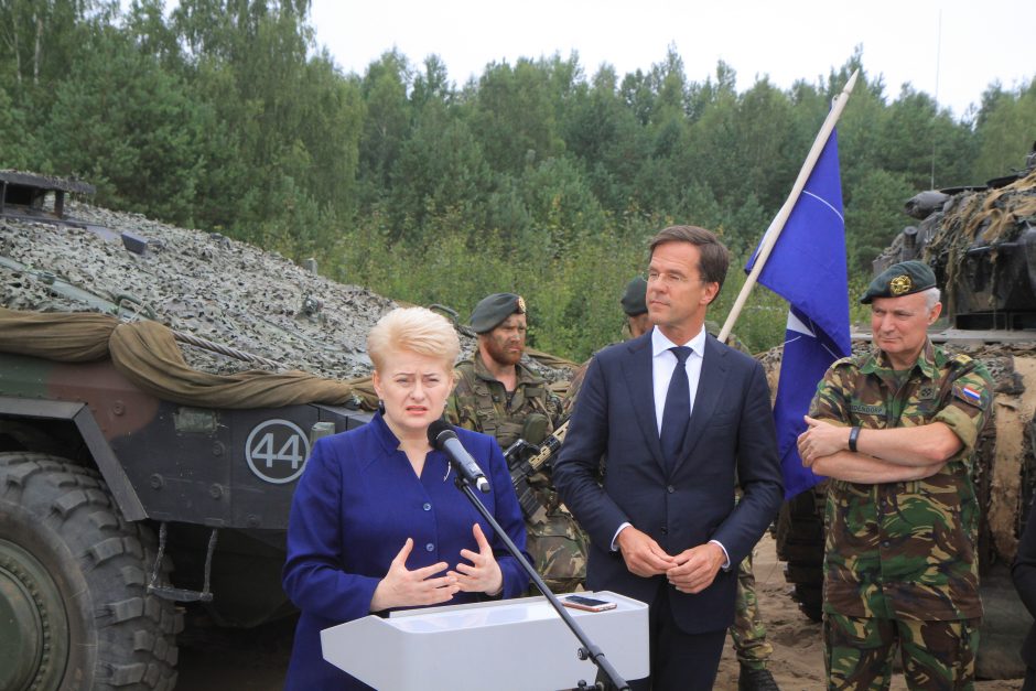 D. Grybauskaitė: NATO batalionai yra geriausia atgrasymo priemonė