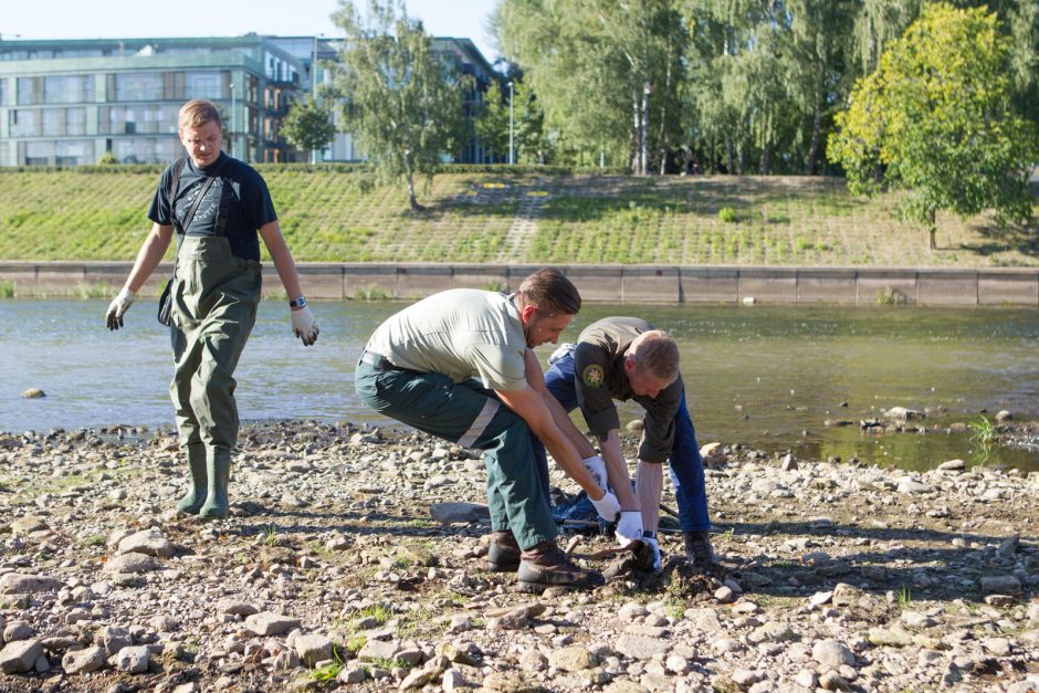 Sostinės upės slepia išmestas padangas, dviračius ir kitas šiukšles