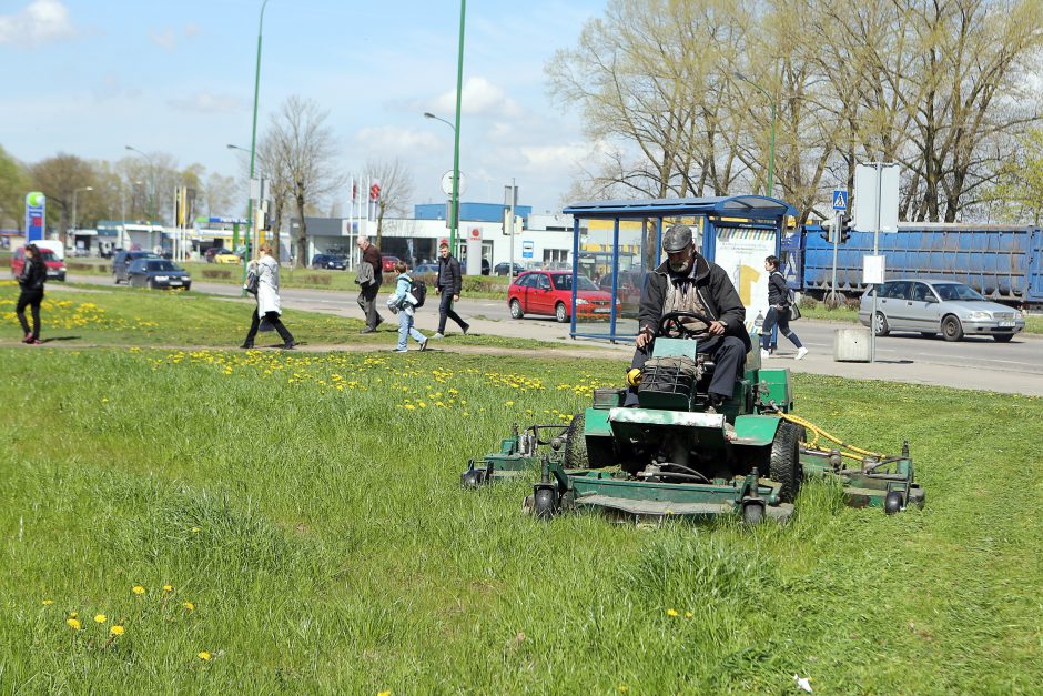 Uostamiestyje startavo šienavimo sezonas