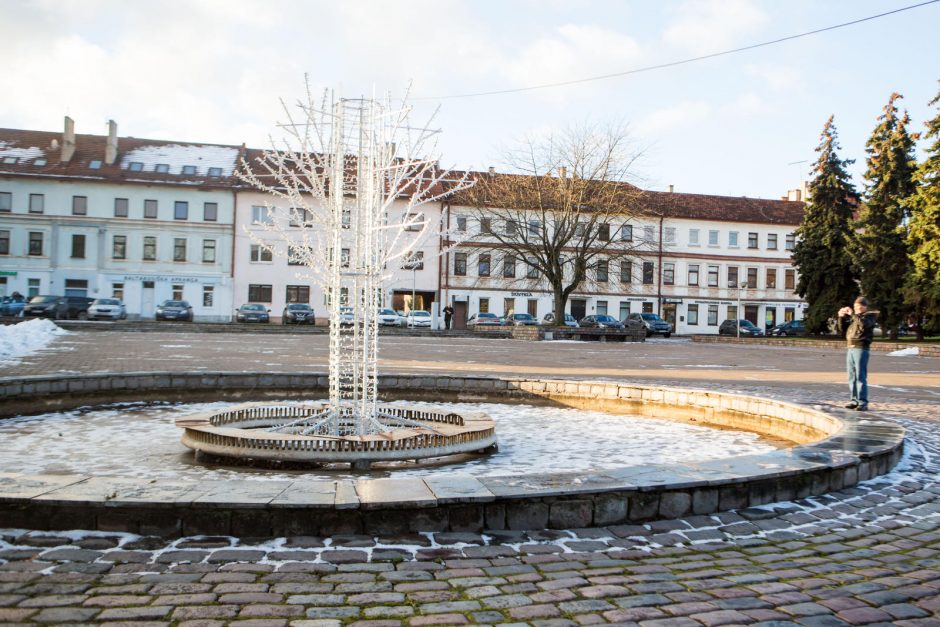 Steigiamojo Seimo aikštės vingrybės