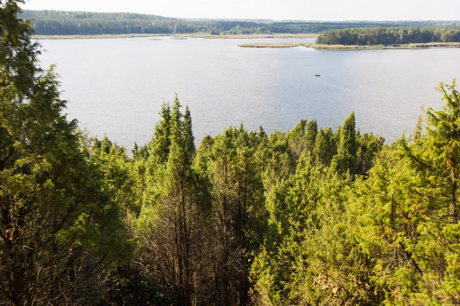 Kariuomenės neprisišaukė – padėjo mokinukai