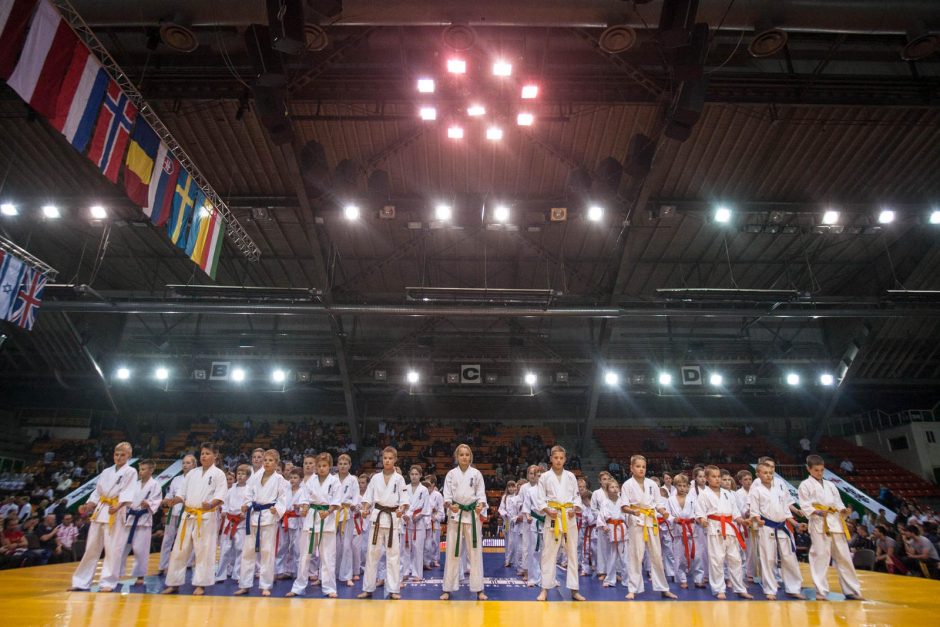 Kiokušin karatė čempionate – lietuvių pergalės