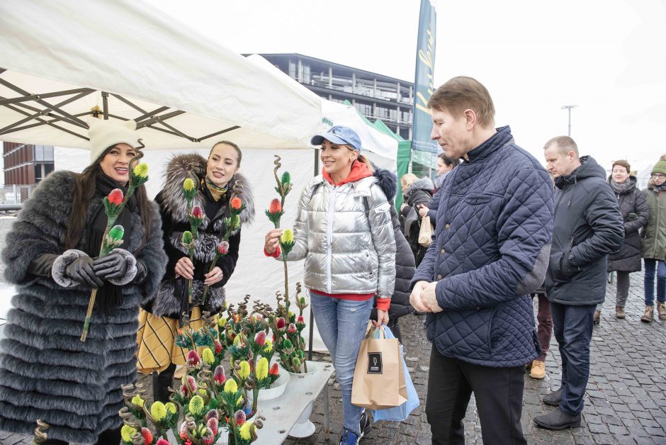 Žinomi kauniečiai Kazimiero mugėje ieško ir egzotikos, ir duonos kasdieninės 