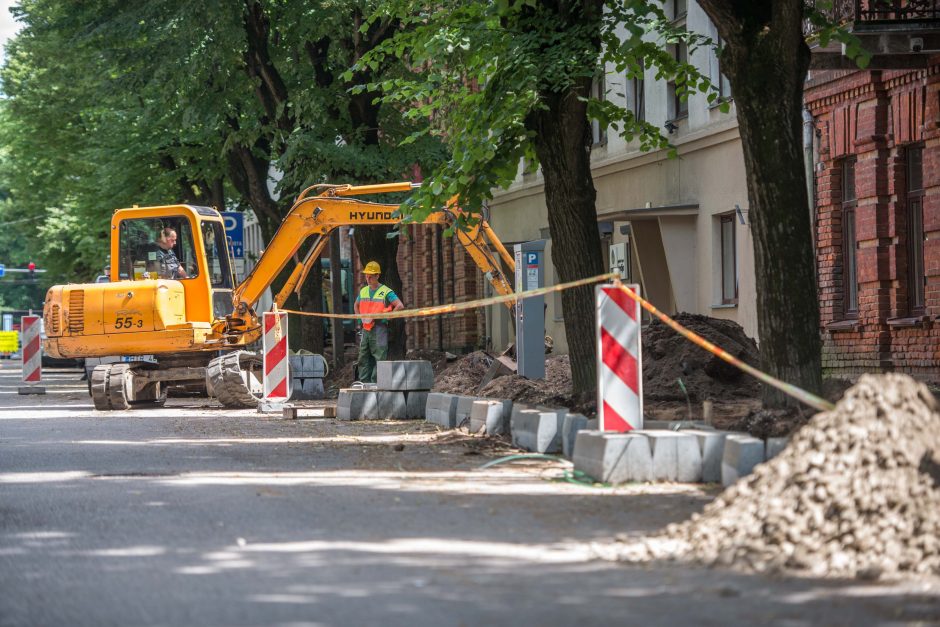 Miško gatvėje senus medžius pakeis nauji