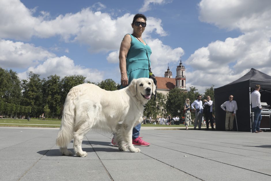 Lukiškių aikštėje pristatytas interaktyvus fontanas