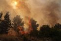 Raketų smūgiai sukėlė didelius gaisrus šiaurės Izraelyje.