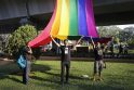 Homoseksualų protestas.