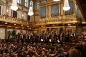 Galingiausias šventės akordas – garsiojo Vienos Johanno Strausso simfoninio orkestro (Austrija) koncertas Raudondvario dvare.