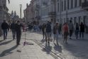 Kaunas Santakoje vis dar švenčia 615-ąjį gimtadienį