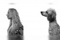  Gražuolės: žaislinė pudeliukė Fibė – Eglės svajonių šuo. Kai abi susigarbanoja plaukus, atrodo kaip modeliai.