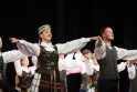 Pynė: švenčiant Lietuvos valstybės atkūrimo dieną pakaunėje netrūks dainų, šokių, koncertų ir kitokių renginių.