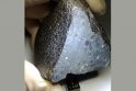 Meteoritas iš Marso. Toks akmuo vertas ne vieno šimto tūkstančių eurų.